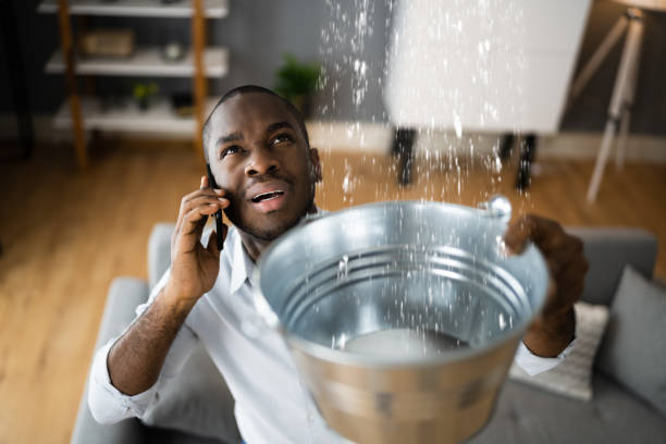 Best Professional water damage repair  in Banner Hill, TN