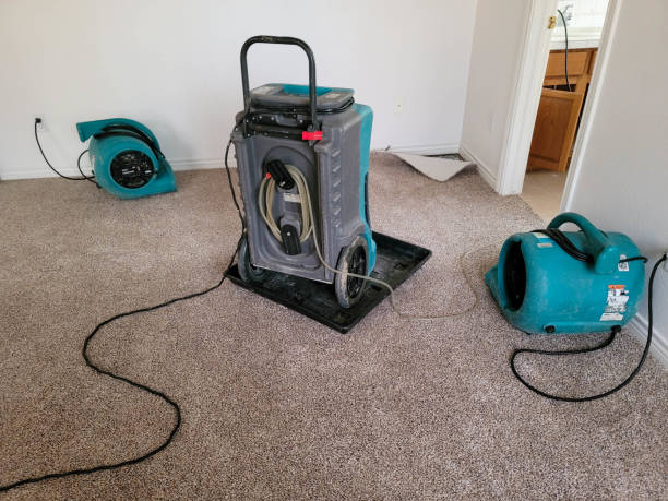 Best Ceiling water damage repair  in Banner Hill, TN