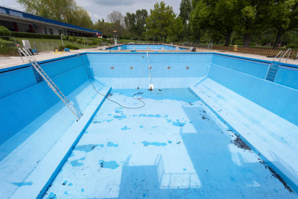 Best Local water damage restoration  in Banner Hill, TN