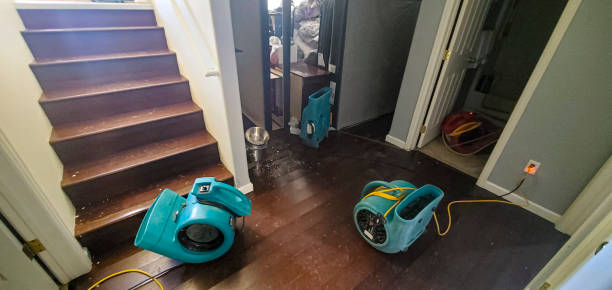 Best Carpet water damage restoration  in Banner Hill, TN