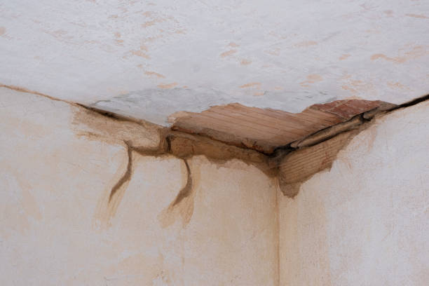 Best 24-hour water damage restoration  in Banner Hill, TN