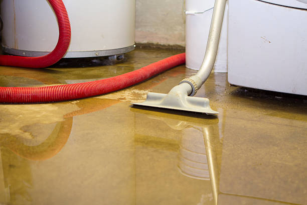Best Flood damage cleanup  in Banner Hill, TN