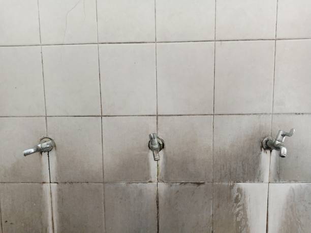 Best Mold removal after water damage  in Banner Hill, TN