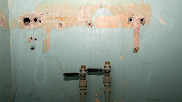 Best Fire Damage Restoration  in Banner Hill, TN