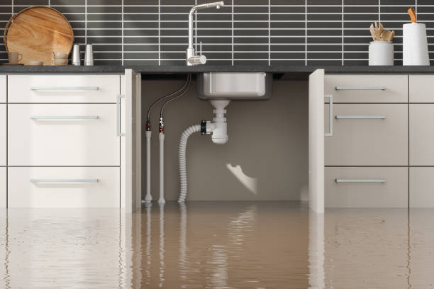 Best 24/7 water damage repair  in Banner Hill, TN